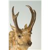 Image 2 : Sherry Sander, bronze