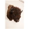 Image 2 : Buffalo Head Mount