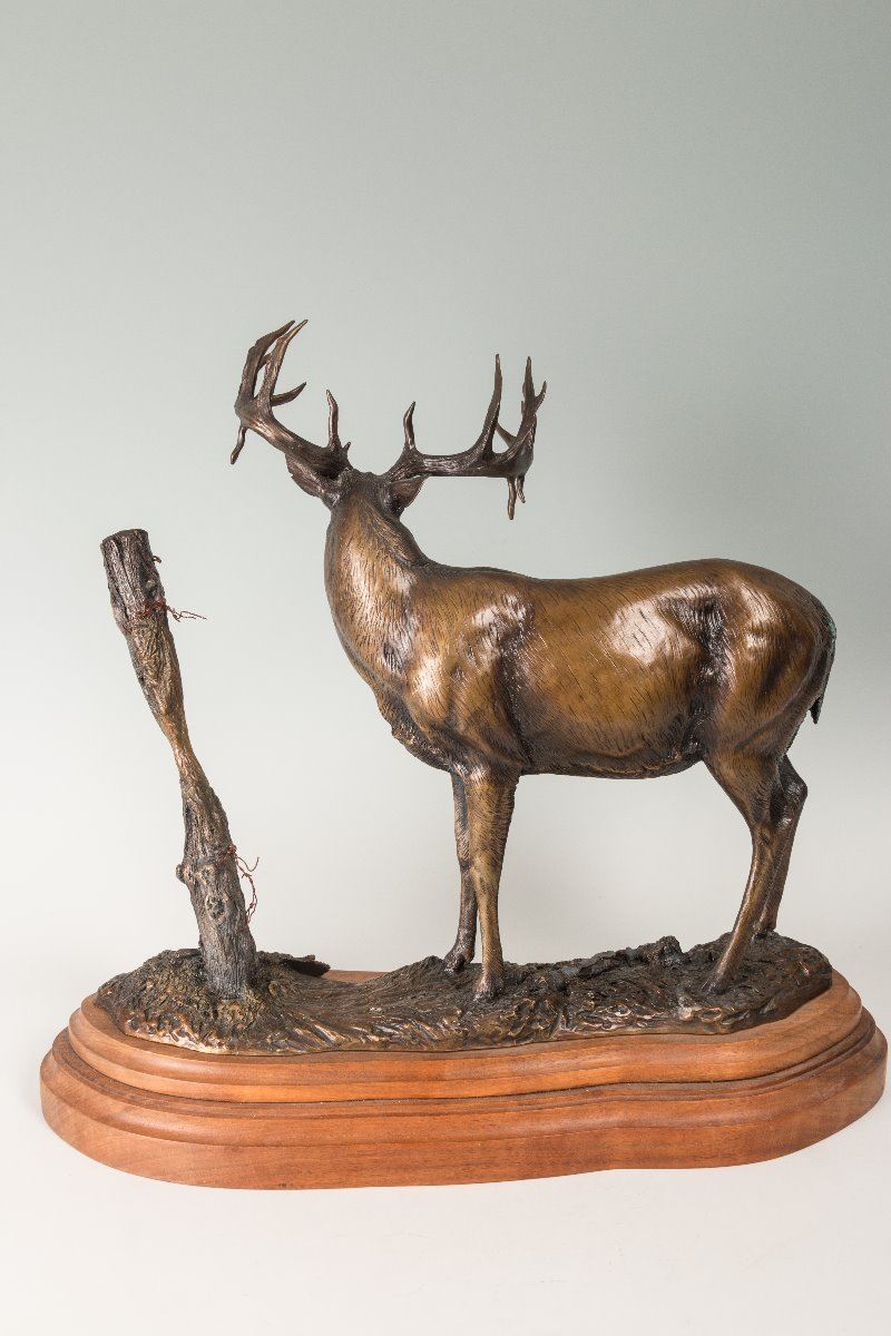 Dick Idol Bronze
