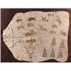 Image 2 : Shoshone Painted Robe, 46" x 55"