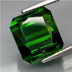 Natural  Top Green Tourmaline 8.29 Cts