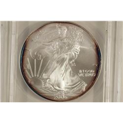 2006 AMERICAN SILVER EAGLE ANACS MS69