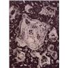 Image 1 : Sam Francis (1923-1994) American, UNTITLED (L.I-39), etching, signed in pencil, the numbered ed...