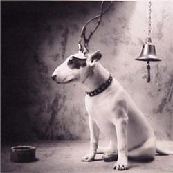 Nicholas Vedros (20th Century) American, PAVLOV'S DOG, 1989, photograph, 11 x 14", signed and d...