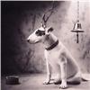 Image 1 : Nicholas Vedros (20th Century) American, PAVLOV'S DOG, 1989, photograph, 11 x 14", signed and d...