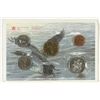 Image 1 : 1992 CANADA UNC SET WITH ENVELOPE