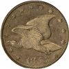 Image 1 : 1855 Large Flying Eagle cent. J-170. J-196. S-PT1b-2. R-7. PR64 PCGS (PS), OGH. Choice Proof (9: 4,3