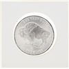 Image 1 : 1 oz .999 Fine Silver Buffalo Round