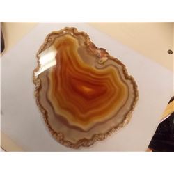 AGATE SLICE -8" X 6"