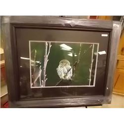 FRAMED PRINT - OWL - KEITH FOCANK - ESTIMATED GALLERY PRICE $525