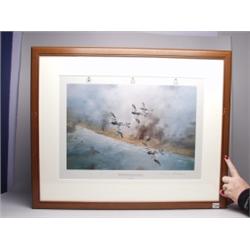 Robert Taylor Print Canadian Wing