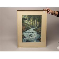 Ross Gill Watercolour  Woodland Stream