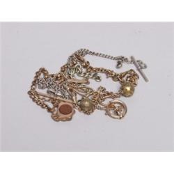 Five Antique Watch Chains