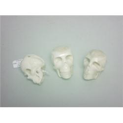 Three Carved Bone Skulls