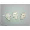 Image 1 : Three Carved Bone Skulls