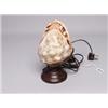 Image 1 : Antique Carved Cameo Shell Lamp 