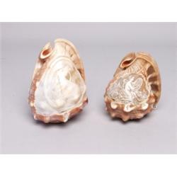 2 Antique Carved Cameo Shell Lamps