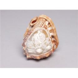 Carved Shell Lamp Shade