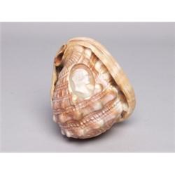 Georgian Carved Cameo Shell