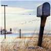 Image 2 : Rural Free Delivery by Nelson, William