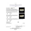 Image 5 : 1.50 ctw Diamond Ring - 14KT Yellow Gold