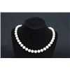 Image 1 : :Cultured Pearl Necklace