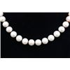 Image 2 : :Cultured Pearl Necklace