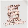 Image 8 : Copeland Spode Buttercup Service