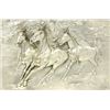 Image 2 : SAB - Bordon Studios, Wild Horses