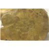 Image 6 : 4 Asian Pieces