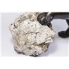Image 4 : :Bronze Foo Dog on Rock