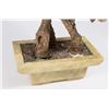 Image 8 : 2 Chinese Multi-Semiprecious Stone & Jade Trees
