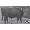 Image 1 : Maternal Legends
