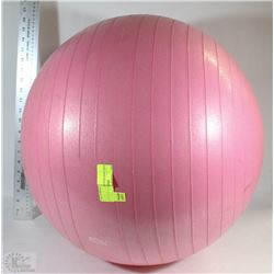 PINK EXERCISER BALL