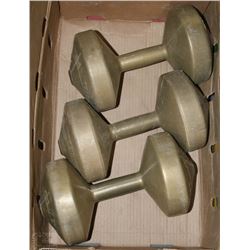LOT OF THREE FREE-WEIGHTS 10LBS EACH