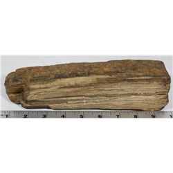 BOX W/LARGE PETRIFIED WOOD PIECE