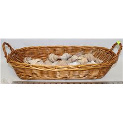 LARGE BASKET OF SEA SHELLS