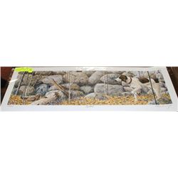 SPOTTED BY GENE CANNING, L.E. 158/500, SIGNED