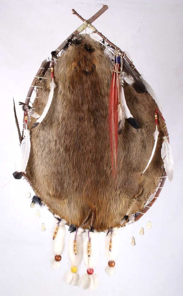 Montana Large Indian Beaver Pelt Stretched to Hoop