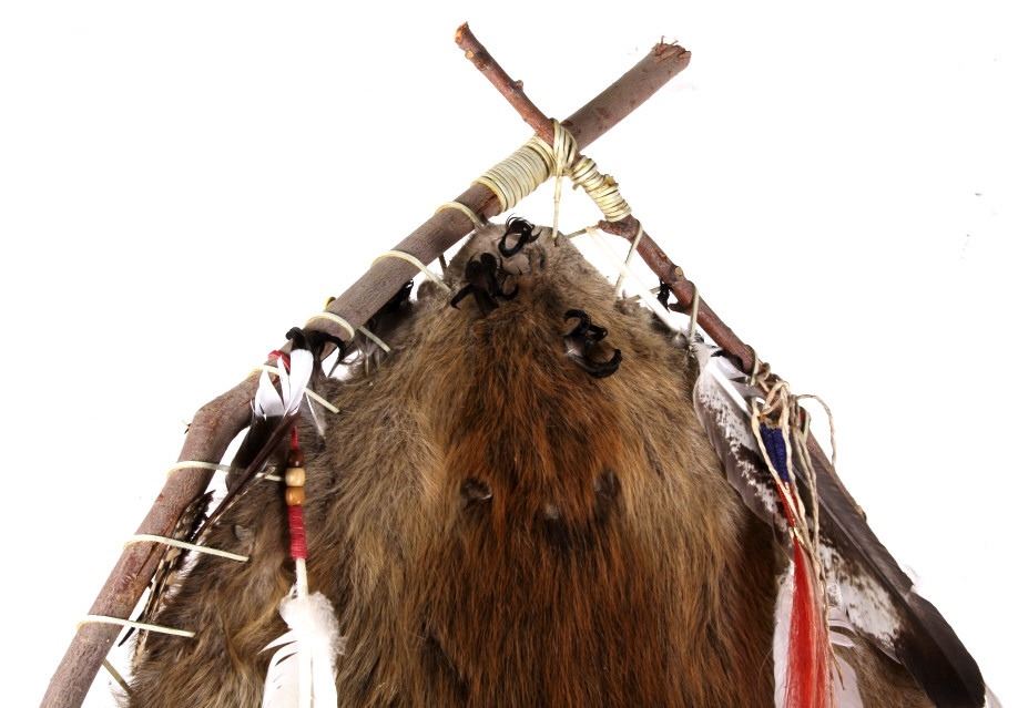 Montana Large Indian Beaver Pelt Stretched to Hoop