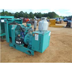 ONAN TECH STAR 35G GENERATOR SET, LP GAS