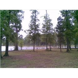 Homesite #4 - Prairie Bluff Subdivision, Block C, Phase Two, Wilcox County Alabama