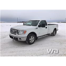 2011 FORD F150 XLT PICKUP