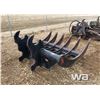 Image 2 : 73" WBM BRUSH RAKE CAT