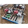 Image 1 : (2) 3" WATER PUMPS