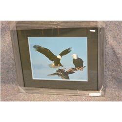 EAGLES LANDING BY JAMES JONES #23644
