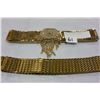 Image 1 : TWO METAL SCALED BELTS