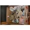 Image 1 : BOX OF SHELLS AND STONES