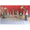 Image 1 : LOT OF VINTAGE SODA BOTTLES