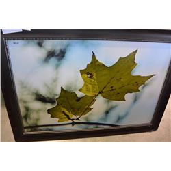 LARGE FRAMED PRINT